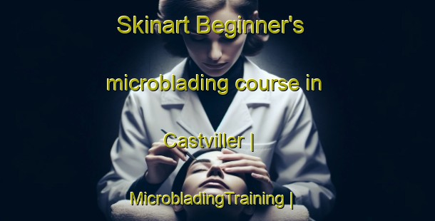 Skinart Beginner's microblading course in Castviller | MicrobladingTraining | MicrobladingClasses | SkinartTraining-France